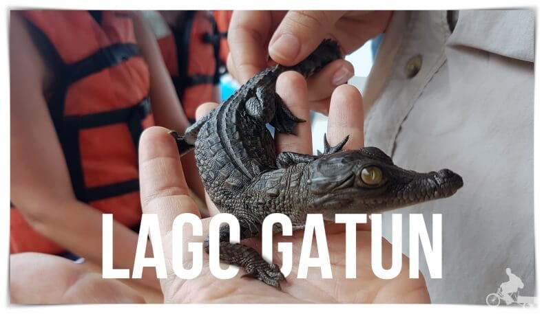 Actividades en el lago Gatún desde el Gamboa resort