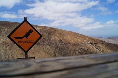 MIRADOR DE LAS PEÑITAS