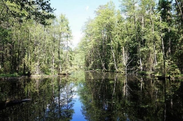 lago parque nacional de Roztocze