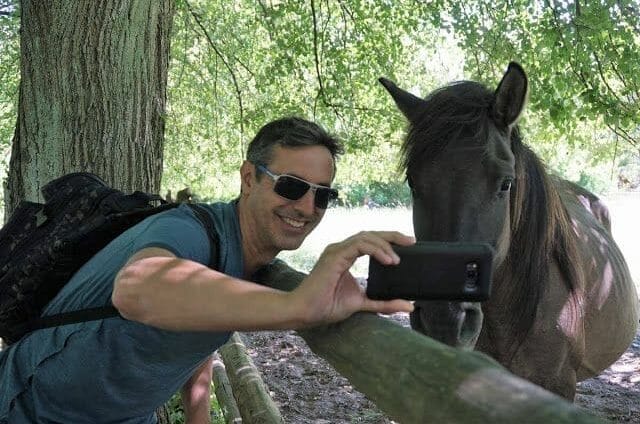 caballo parque nacional de Roztocze
