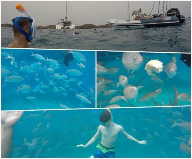 snorkel en isla de Lobos