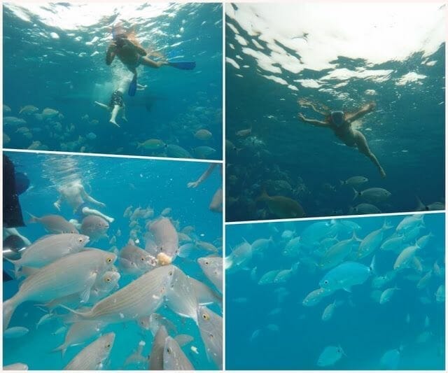 bucear en isla de Lobos