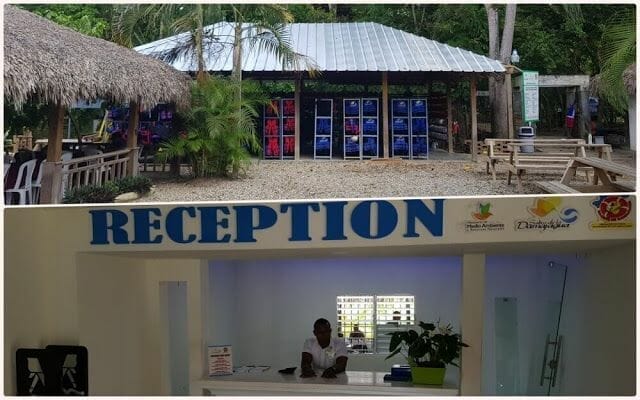 recepción