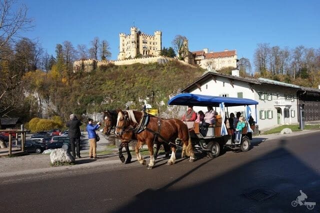 Caballos al Castillo de Neuschwanstein