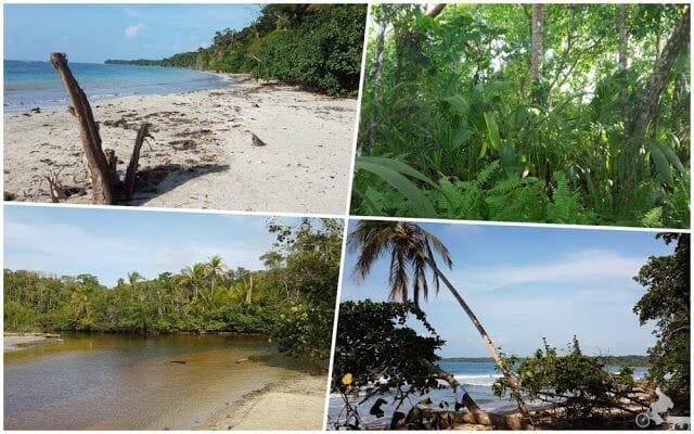 paisajes cahuita