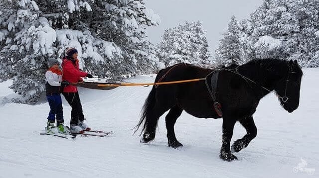 caballos pistas de esquí de Beille en el Ariège