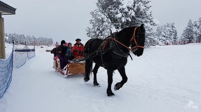 pistas de esquí de Beille en el Ariège