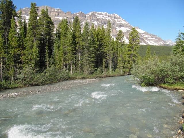 río camping mosquito creek