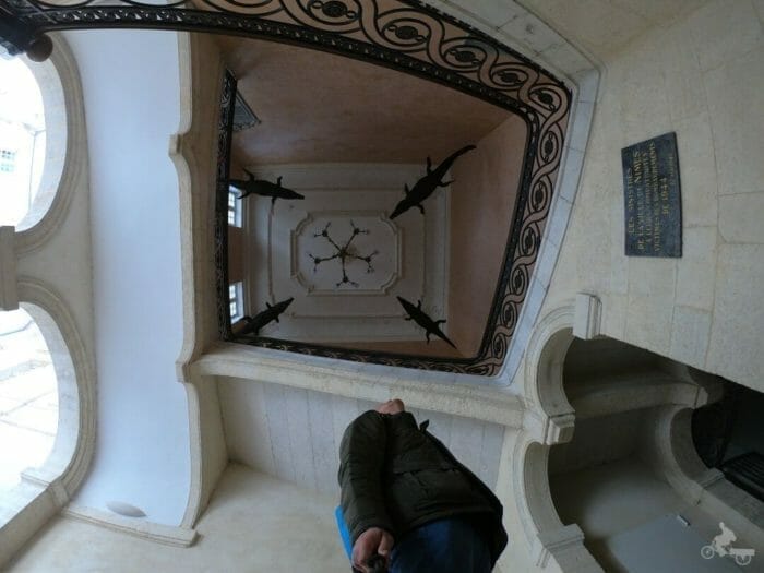 cocodrilos ayuntamiento Nimes
