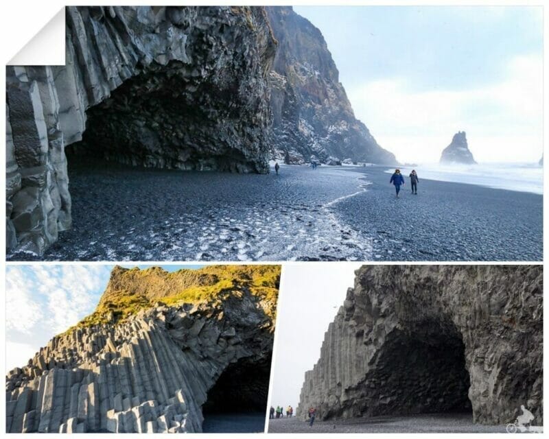 Halsanefshellir