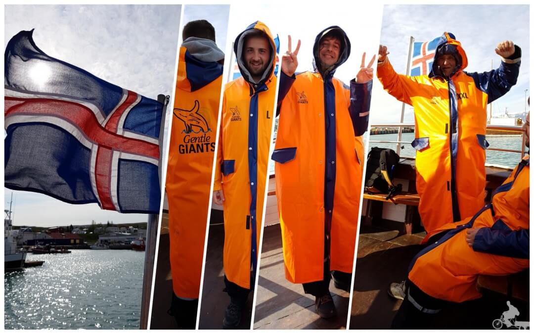 ropa para ver ballenas islandia