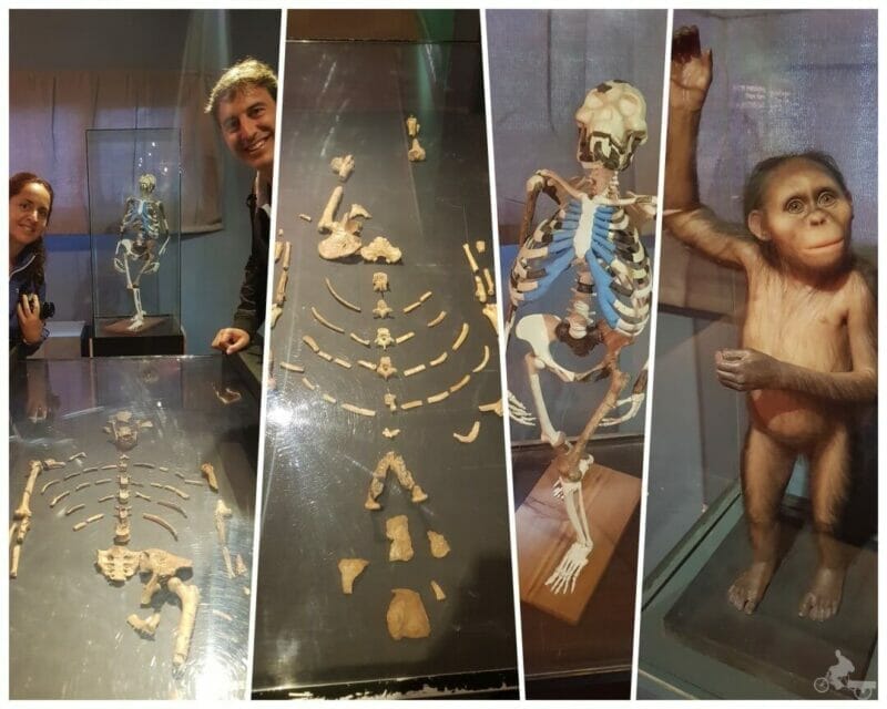 lucy museo nacional etiopia - qué ver en Addis Abeba
