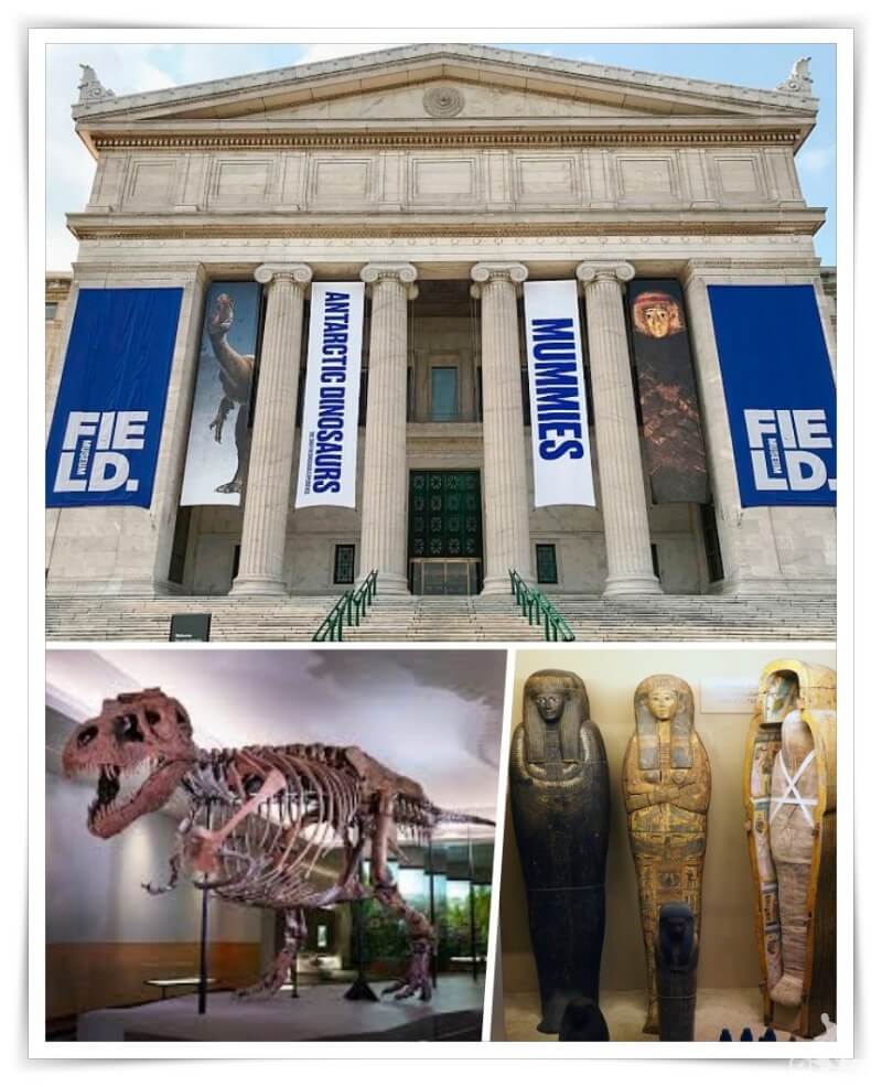 field museum con el chicago city pass