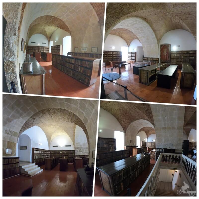 planta intermedia biblioteca joanina