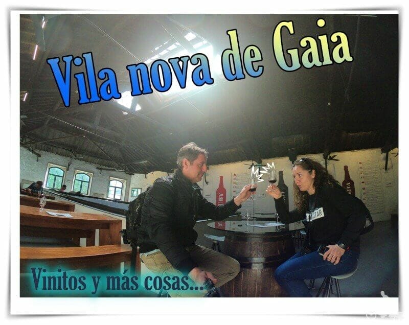 Vila Nova de Gaia - que ver