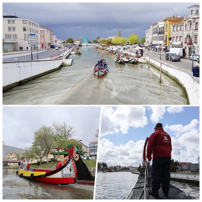 moliceiros de aveiro