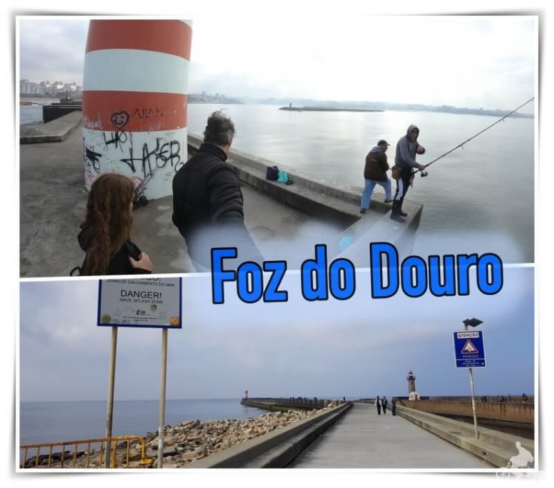 desembocadura del duero o foz do douro