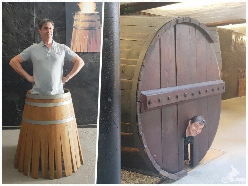 bodegas vino oporto vila nova de gaia