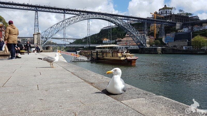 ponte dom luiz I