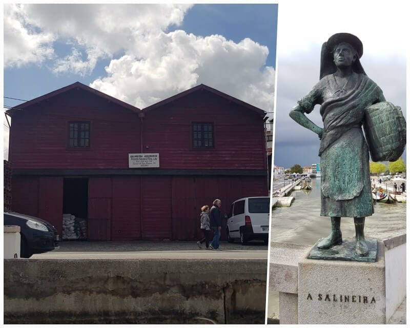 salinas aveiro