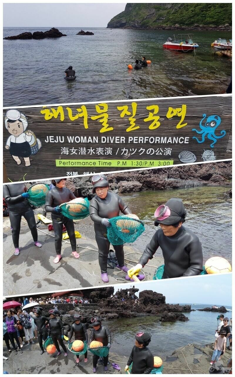 mujeres buceadoras de jeju