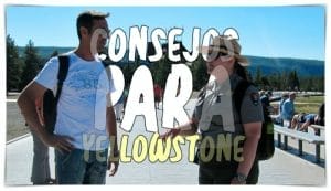 Consejos para viajar a Yellowstone