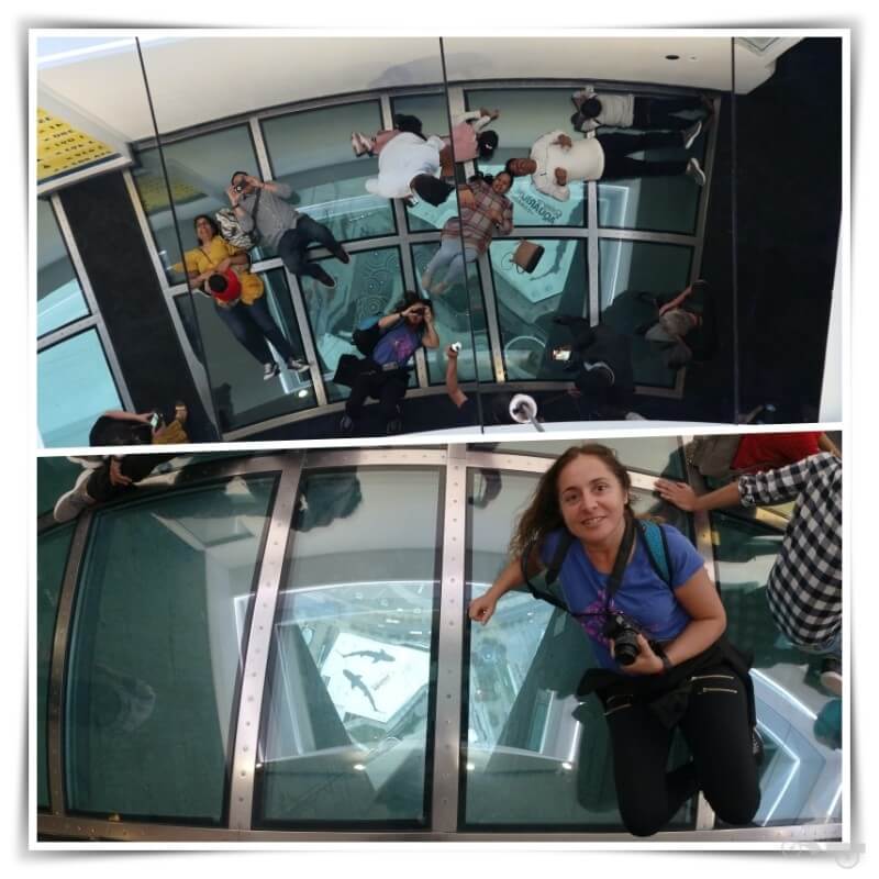 Glass Floor CN Tower Toronto