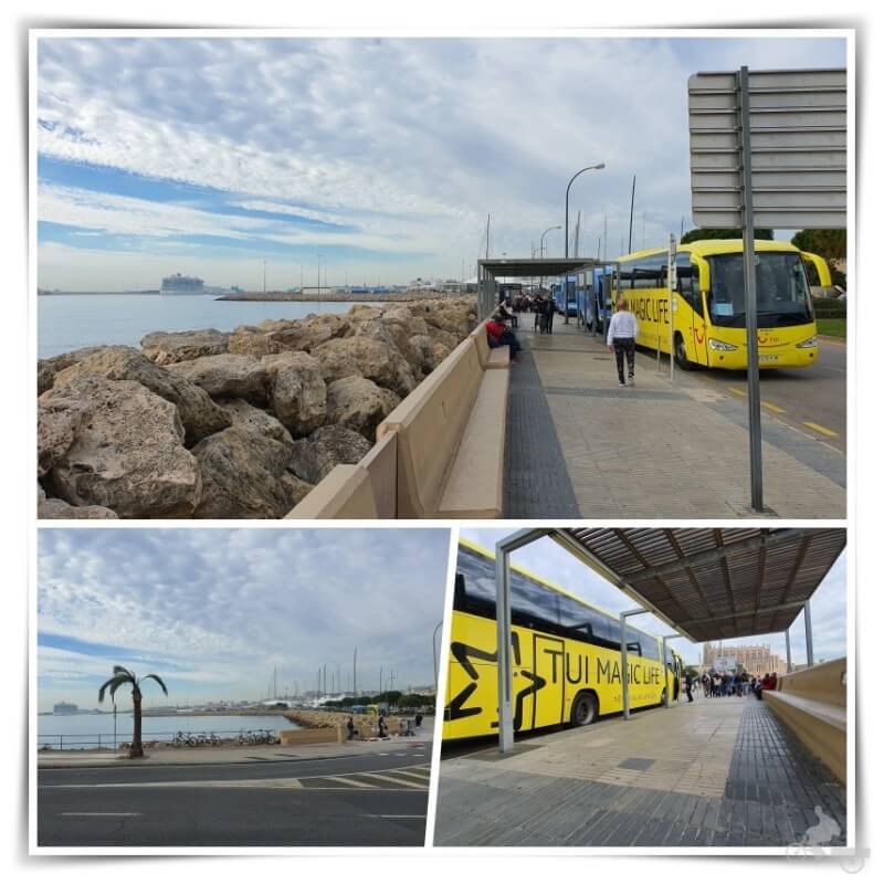 parada buses puerto palma mallorca