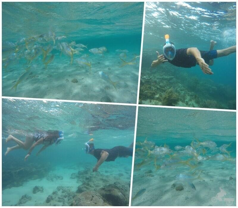snorkel cayo arena