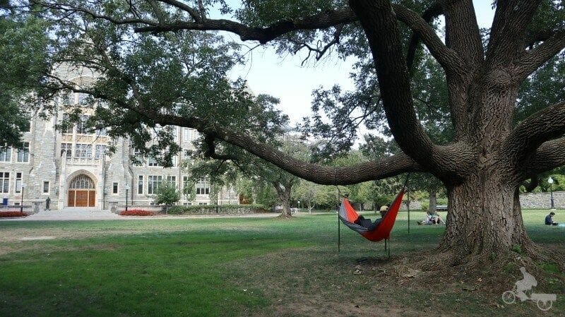 relax visitar la universidad de Georgetown