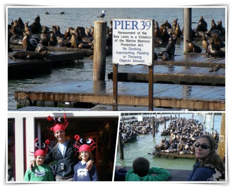 pier 39