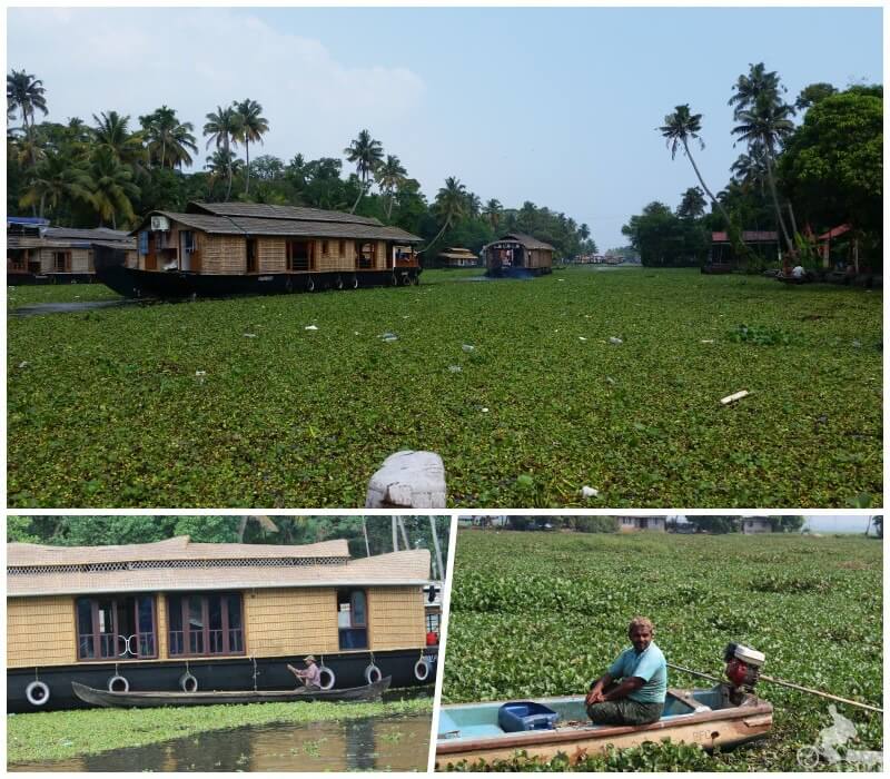 backwaters india sur