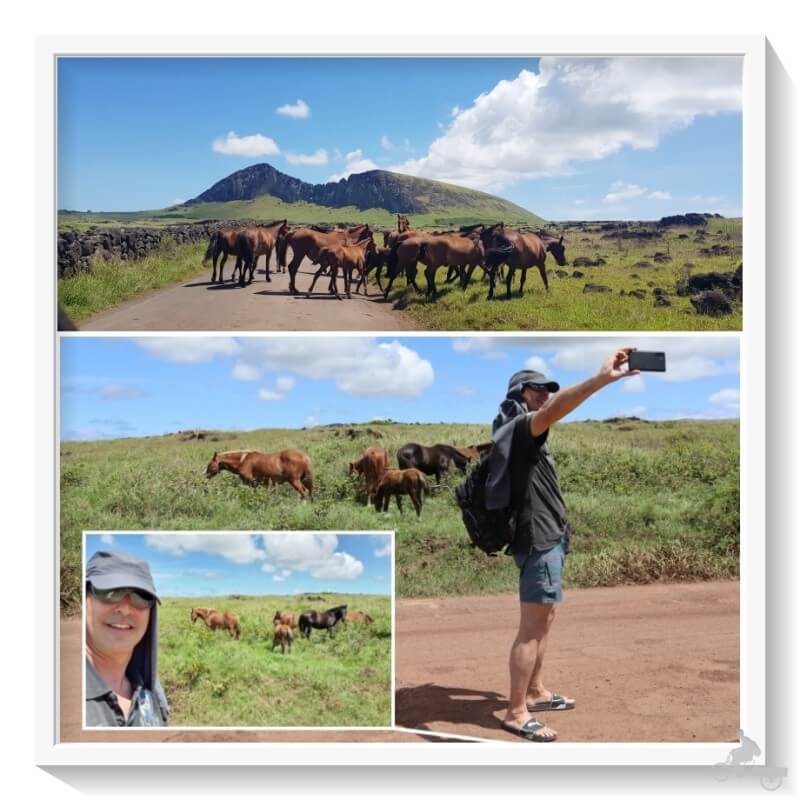 caballos-isla-de-pascua