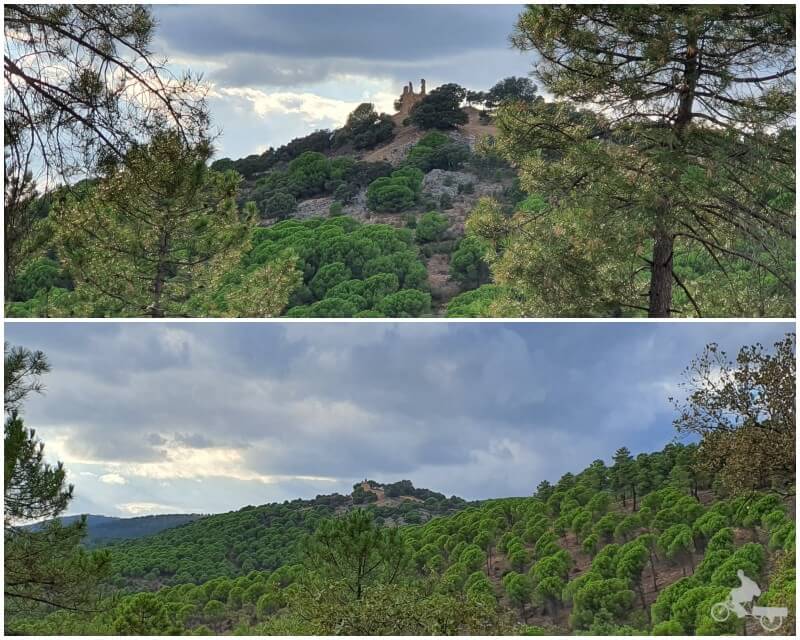 castillo de Castro Ferral