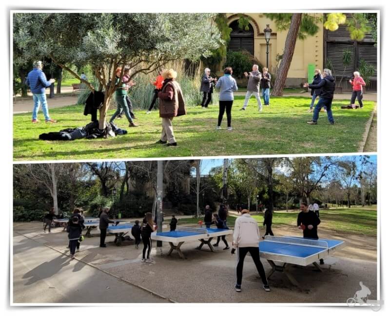 actividades parque ciutadella