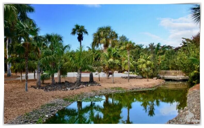 Palmetum - Mejores Free Tours en Tenerife
