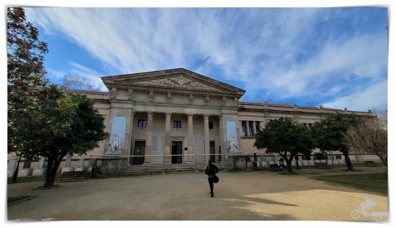 Museo de Geología - Museo Martorell