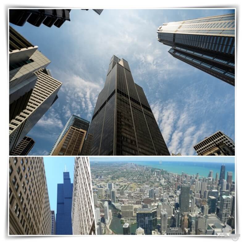 Torre Willis