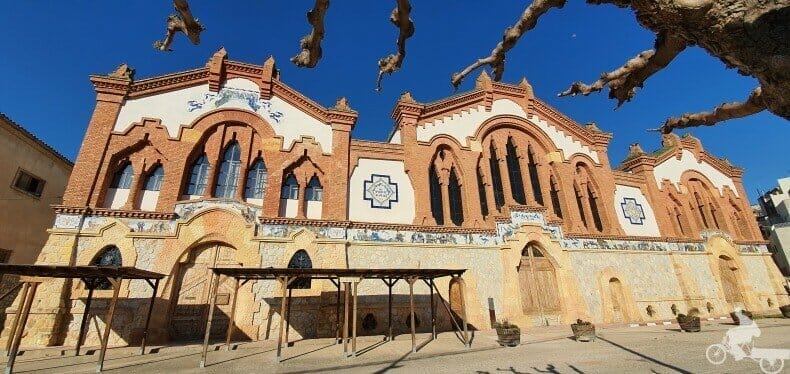 fachada catedral del vi