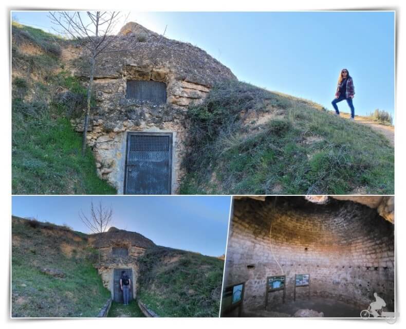 povet de neu de arnes