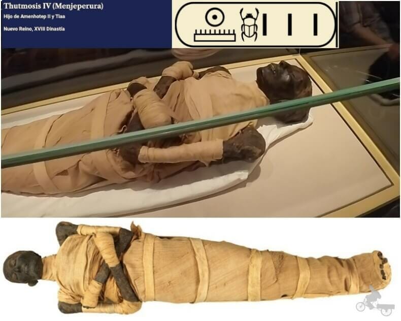 momia de Tutmosis IV