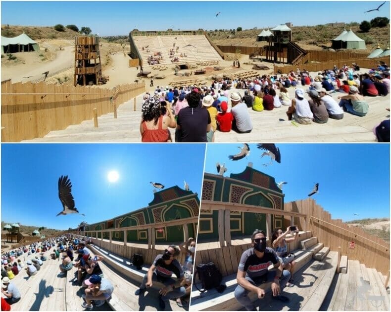 cetrería de Reyes - opiniones Puy du Fou