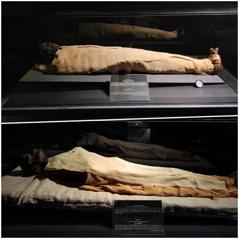 Momias de Ahmose y de Ramsés I