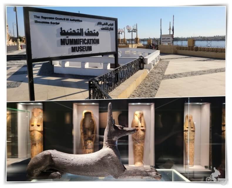 museo de la momificación de Luxor