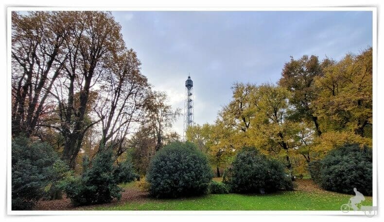 Torre Branca
