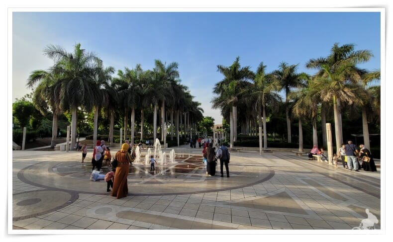 royal palm