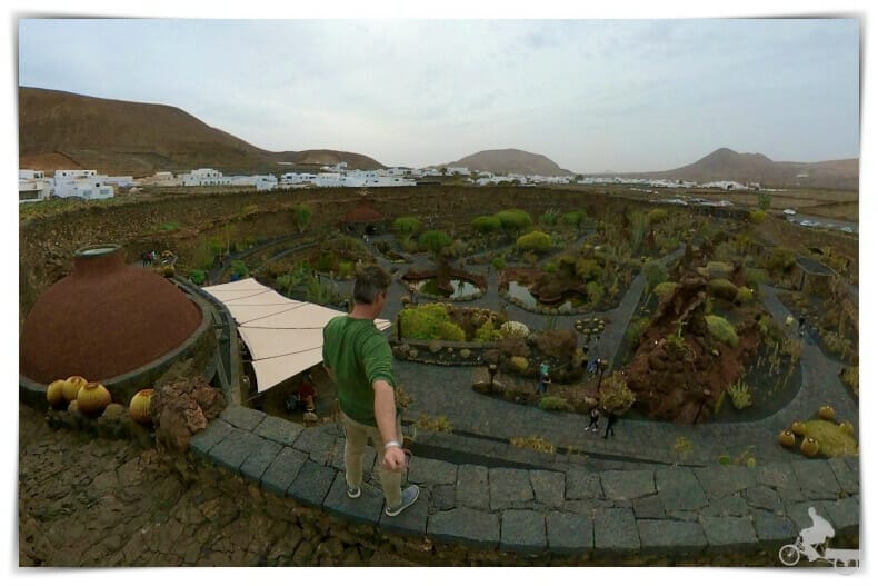 molino jardin cactus