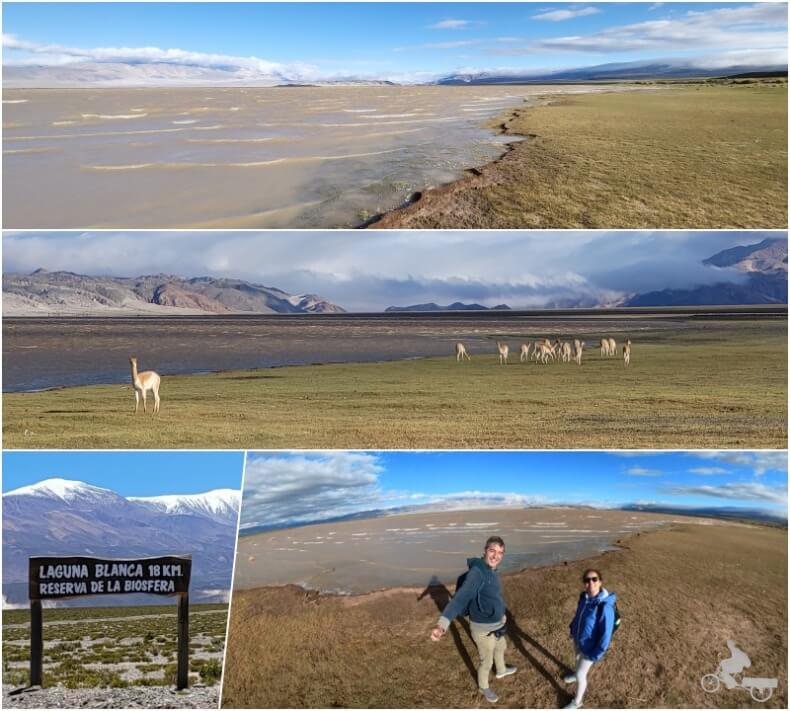 laguna blanca de Catamarca