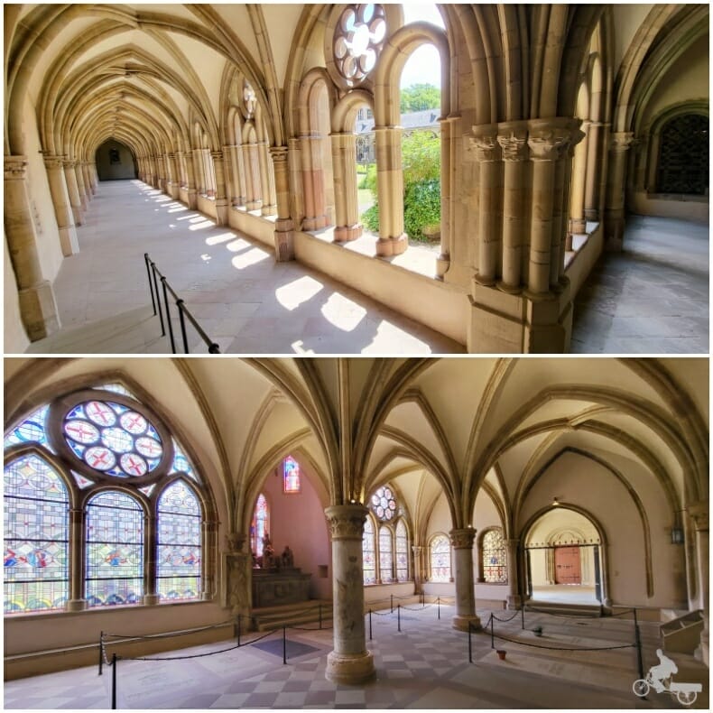 claustro