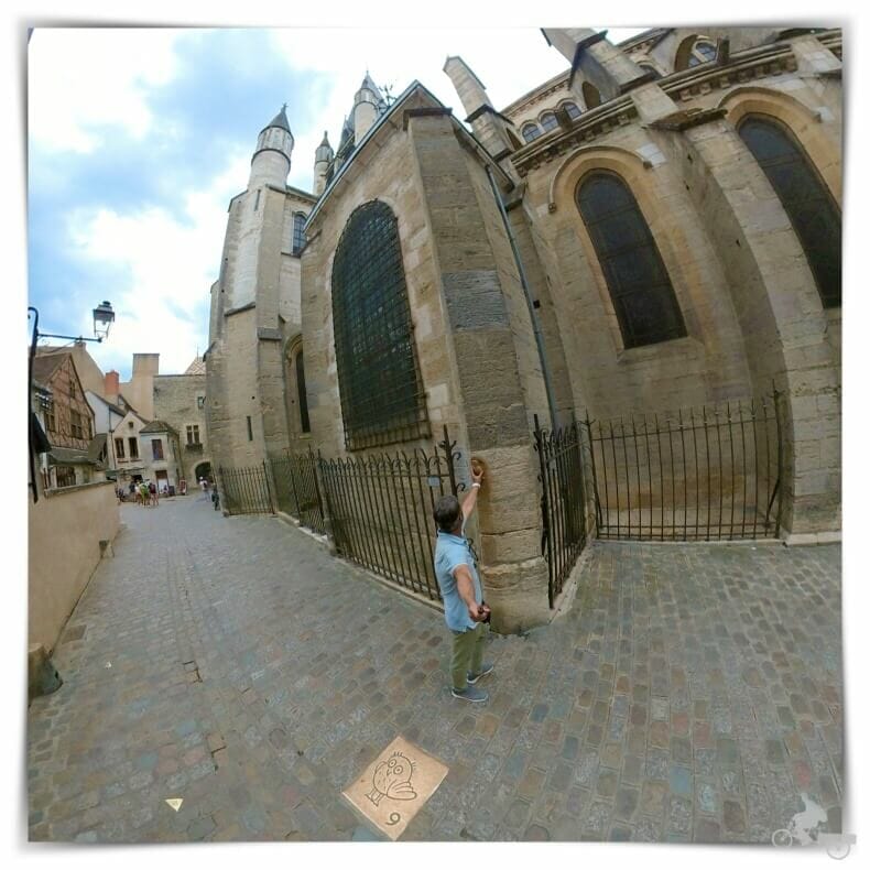 El buho o lechuza que ver en Dijon